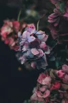 xpseo97