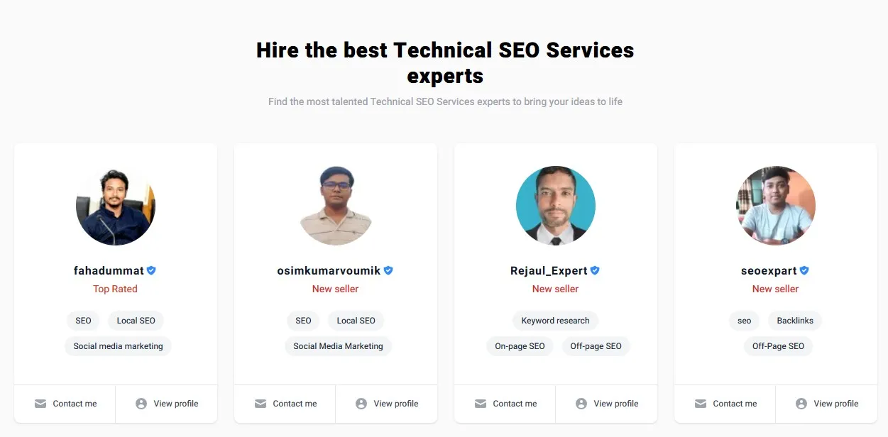 Hire the Best Technical SEO Services Experts