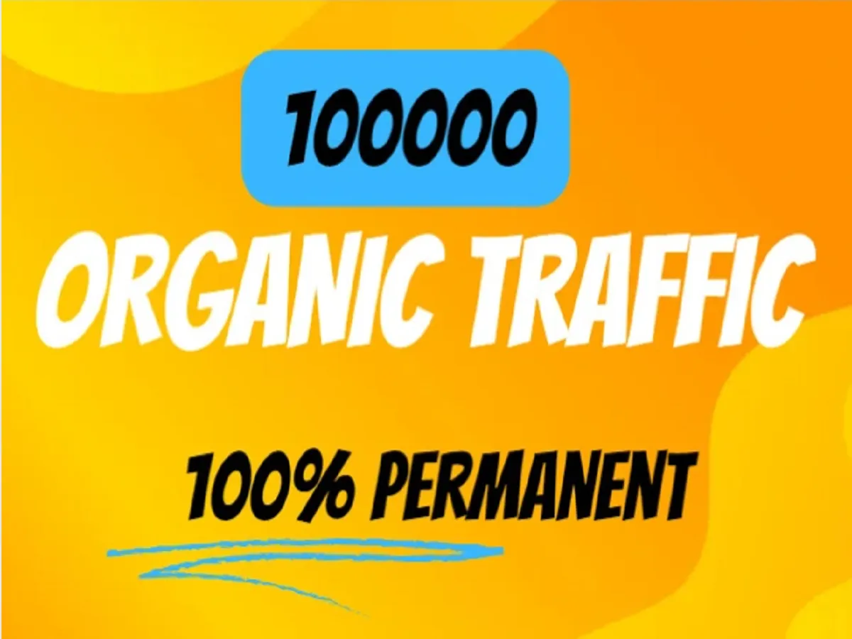 I will provide 100000 USA Organic Traffic for you website