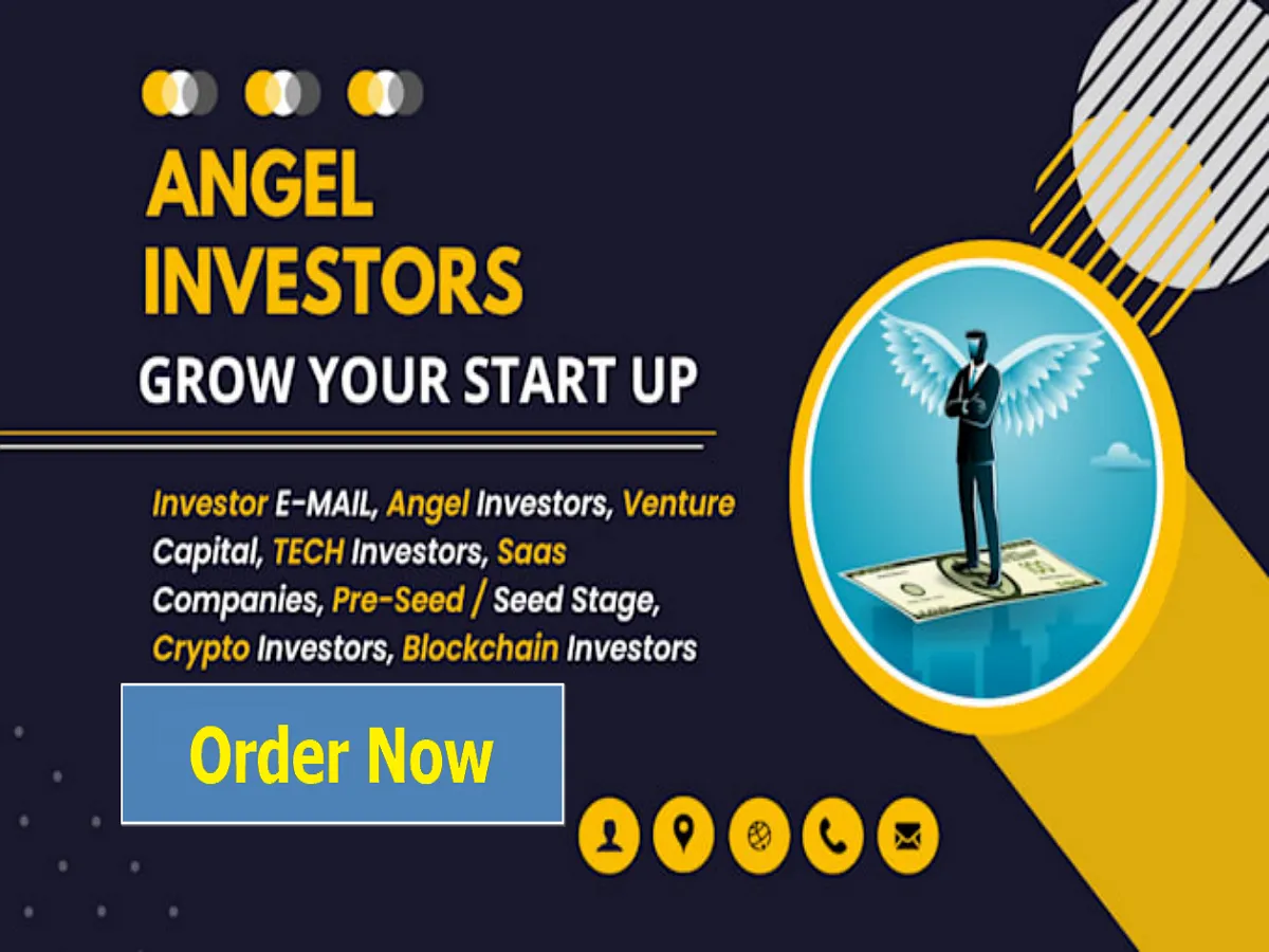 Give You 12,000 Venture Capital and Angels investors Leads Database