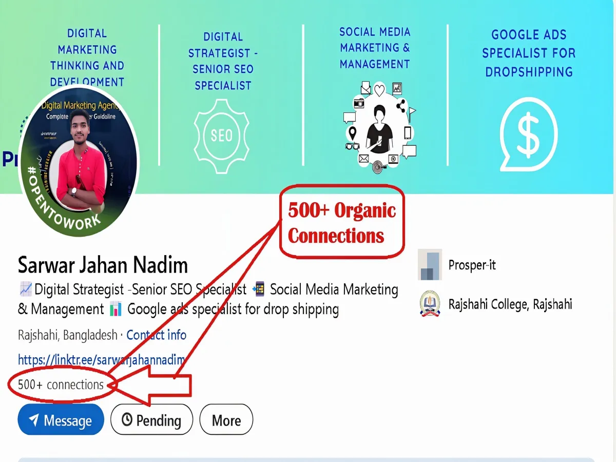 do organic linkedin marketing promotion with real followers or connections