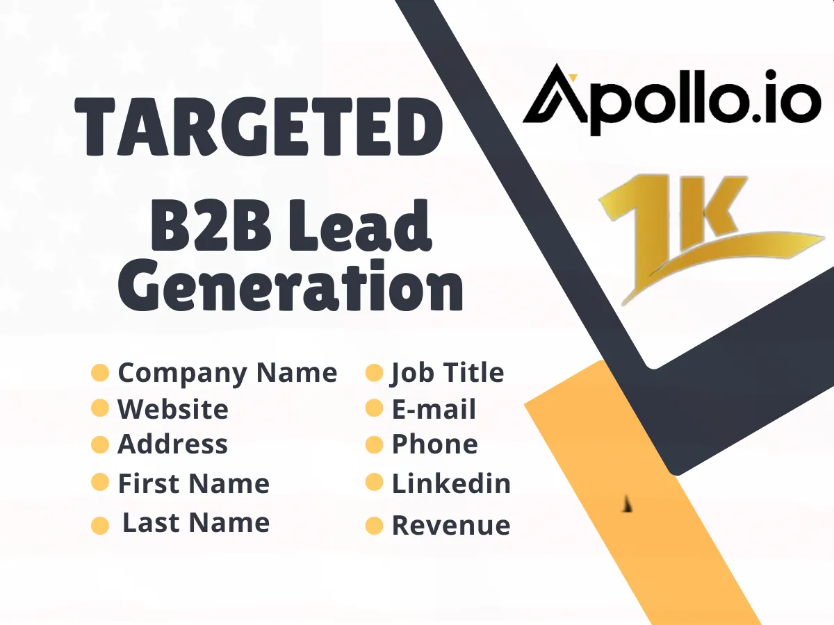 build 1000 targeted b2b lead generation for USA and UK