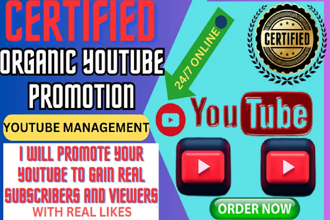  do organic youtube promotion to viral your video