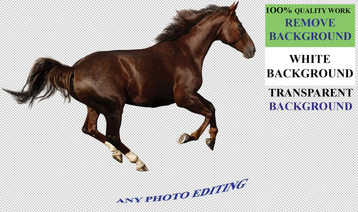 Photo Background Removal and Editing