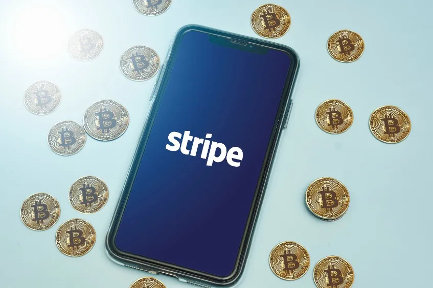 GIVE You 180,000 Verified Crypto Stripe Users Email Leads Database