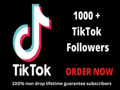 Tiktok Non drop Followers Hq profile 