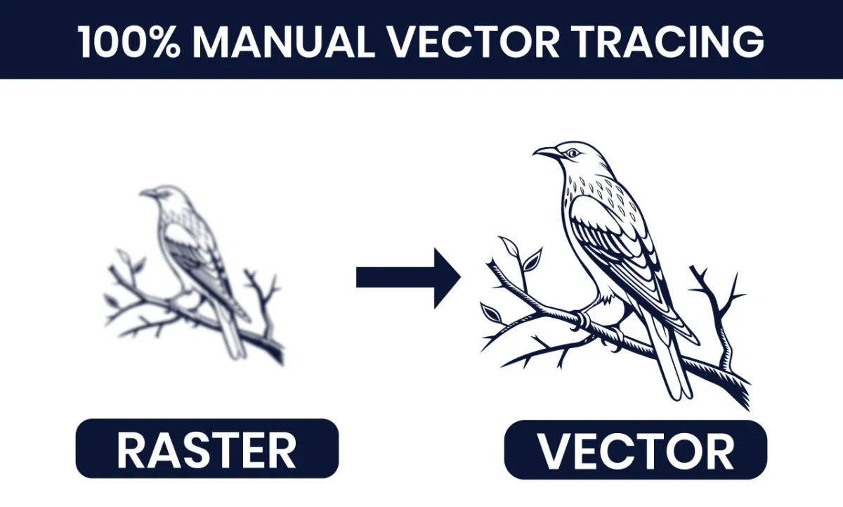 do vector tracing logo to vector, image to vector redraw redesign