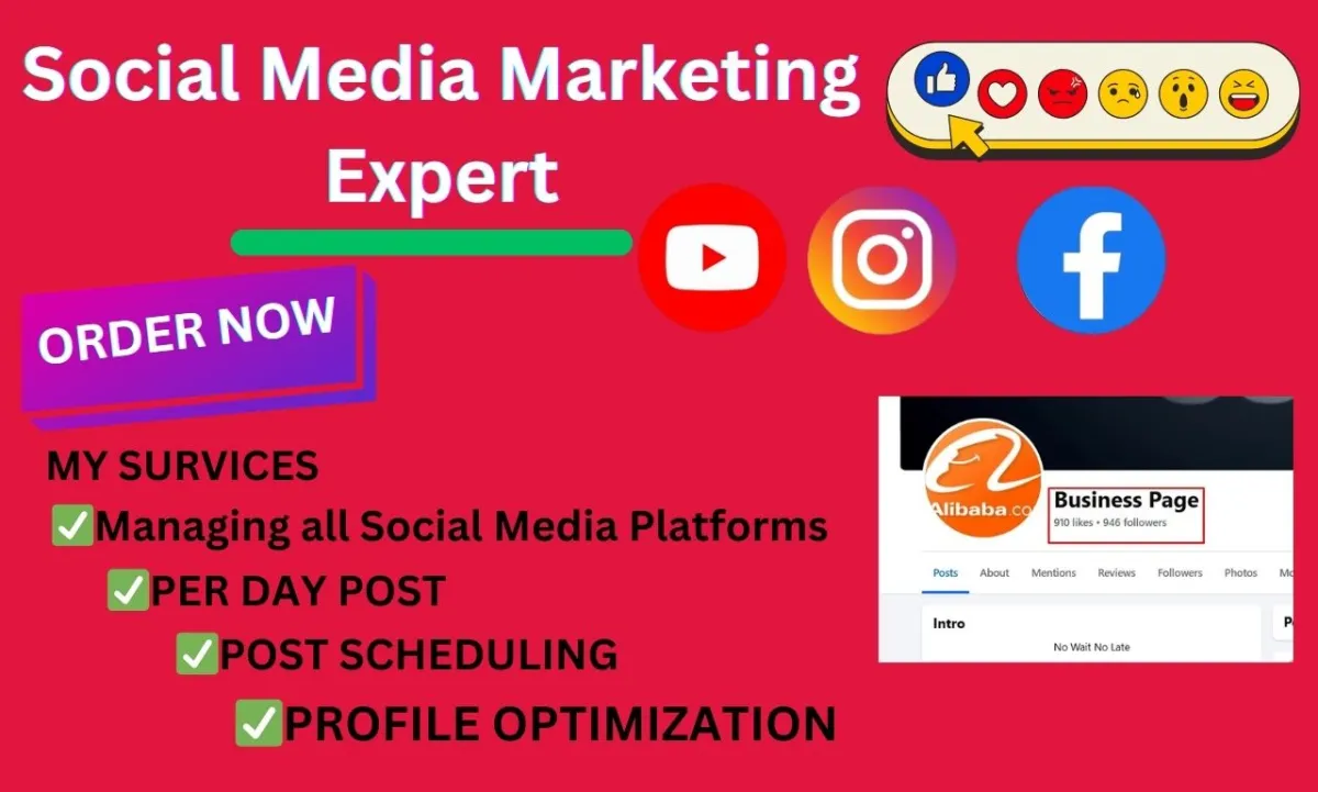 I will BE YOUR SOCIAL MEDIA MARKETING EXPERT