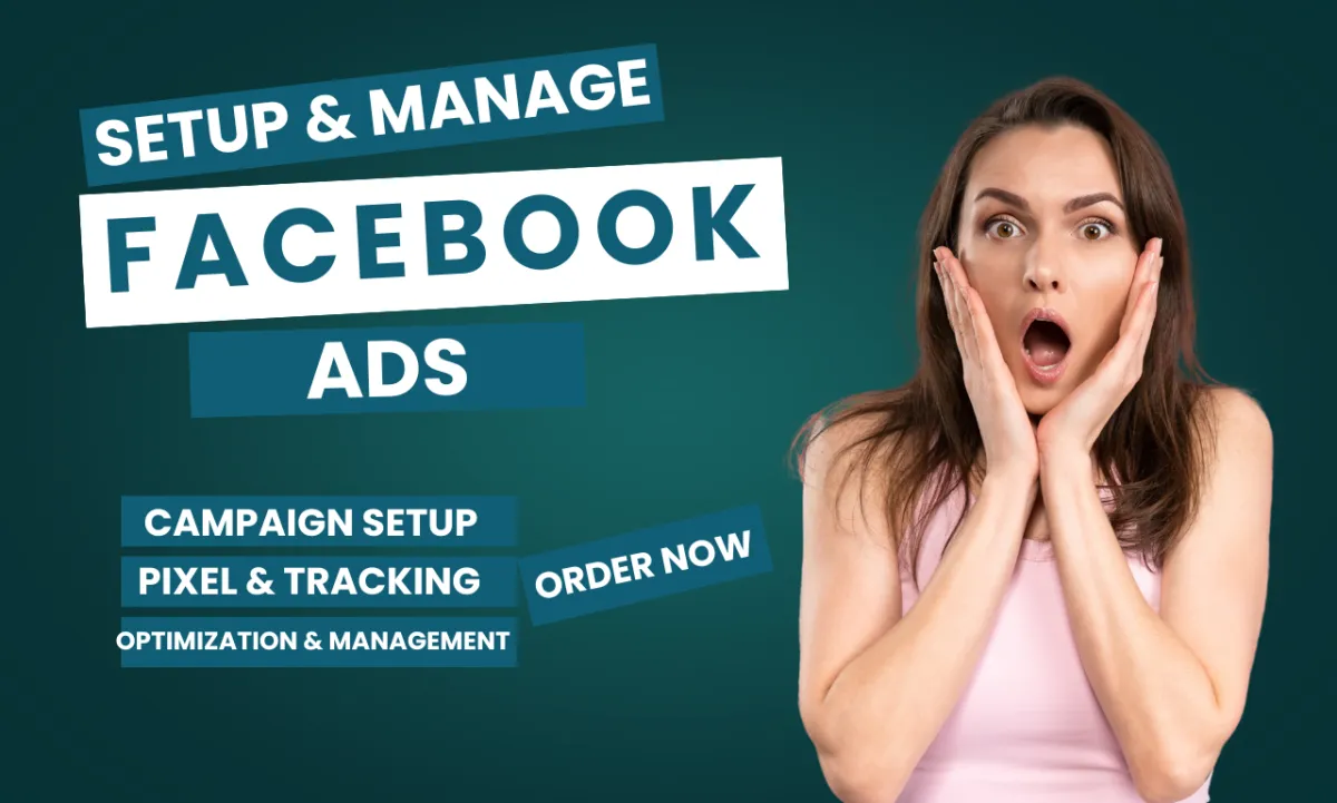 setup and manage facebook ads meta fb ad campaign advertising marketing campaign