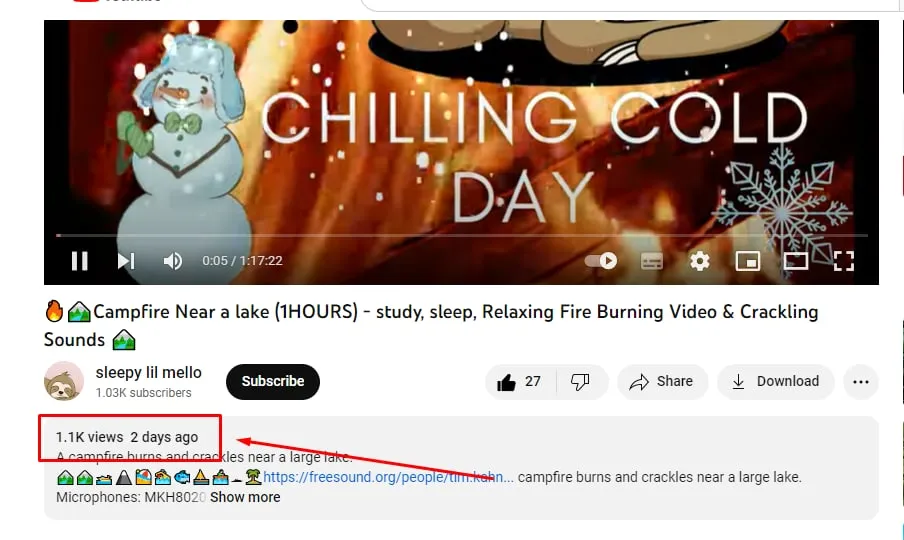 I will do manually deliver 4000 hours YouTube watch time for monetization