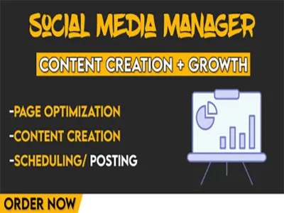 be your Professional Social Media Manager to Boost Your Online Presence