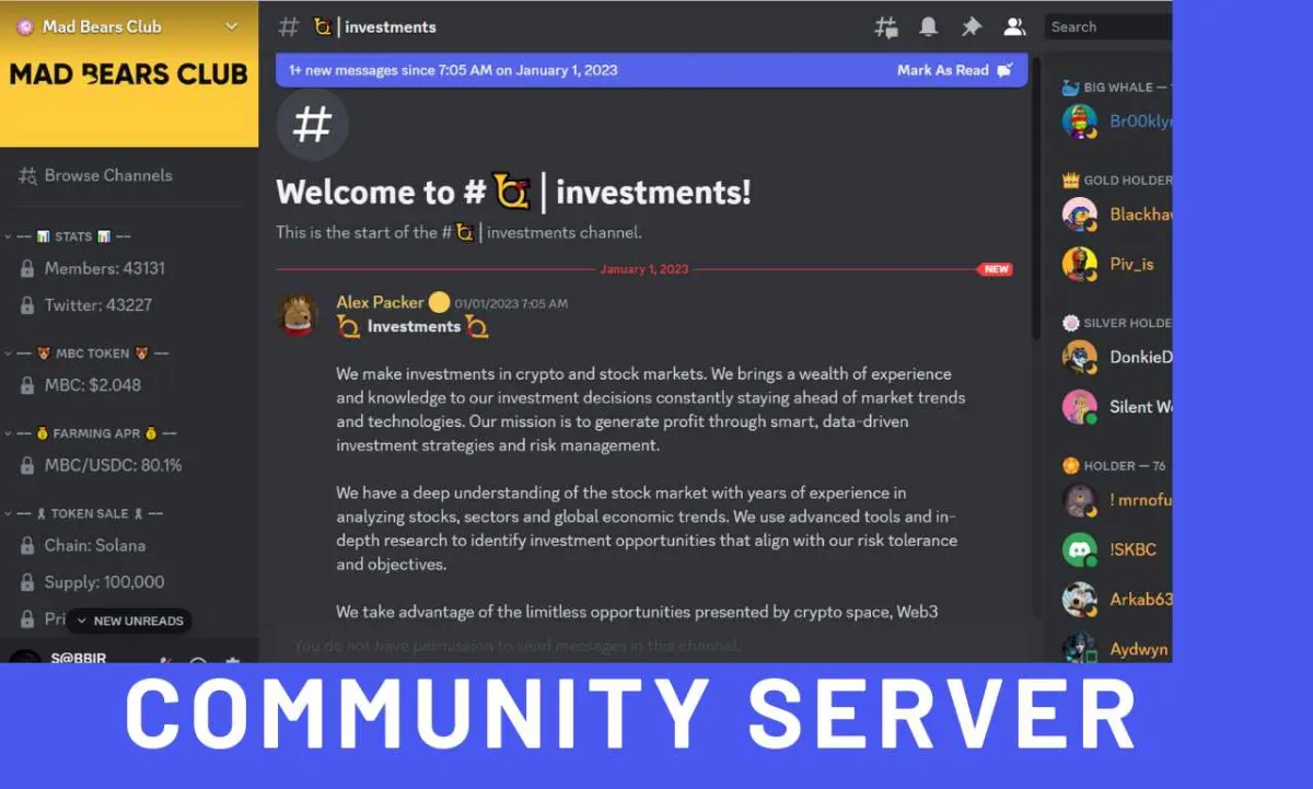 Setup your best custom discord server.