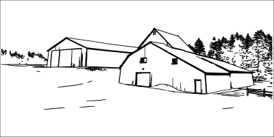 I will create professional line art illustrations, minimalist drawings, and vector sketches