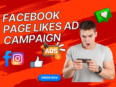 I will run a facebook ad campaign to grow page likes