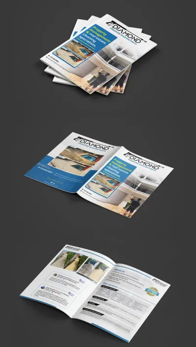 design a professional flyer or brochure for your business