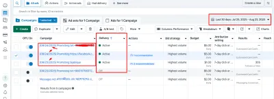 create and manage high converting facebook ad campaign ads for leads and sales