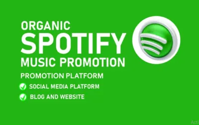 promote your spotify music through effective ads campaign and make your song viral