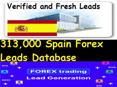 Give You 313,000 Spain Forex Leads Database