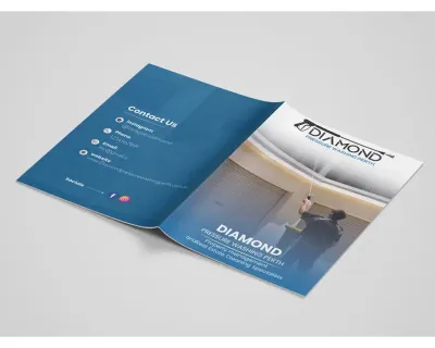 design a professional flyer or brochure for your business