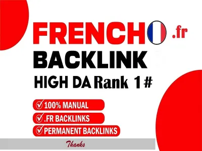 do 40 french high DA link building trust flow quality do follow france backlink