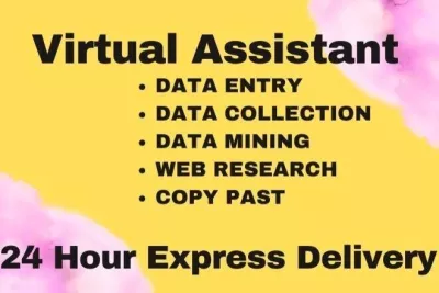 provide personal virtual assistant and customer service