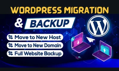 I will transfer, backup, move, wordpress migration or change domain in 24hrs