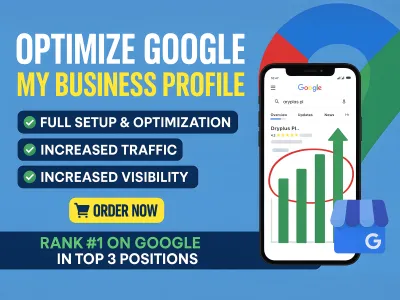 I will do GMB optimization and citations for your business