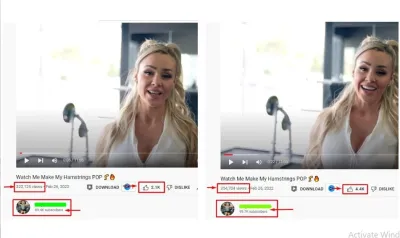I will do manually deliver 4000 hours YouTube watch time for monetization