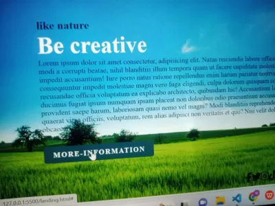 I Will Make Basic Website And Also Make a Webpage using Css and Html