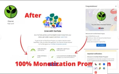 I will provide 1k+ real and organic YouTube subscribers for YouTube monetization 
