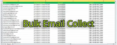 I will collect niche targeted email list and bulk email list for email marketing