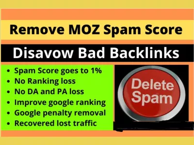 I will do disavow bad backlinks and remove your website moz spam score