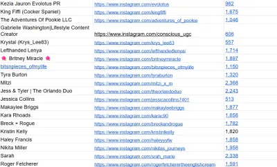 I will do find best Instagram ,TikTok, Twitter and You Tube influencer marketing