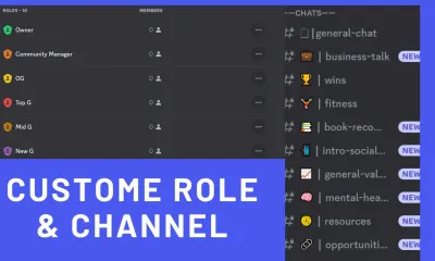 Setup your best custom discord server.