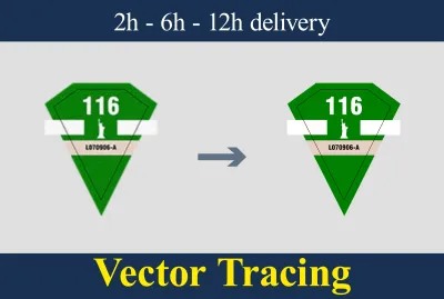 Recreate, vectorize, and convert logos or graphics to vector