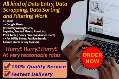 I will do accurate data, copy paste, web research, excel data entry