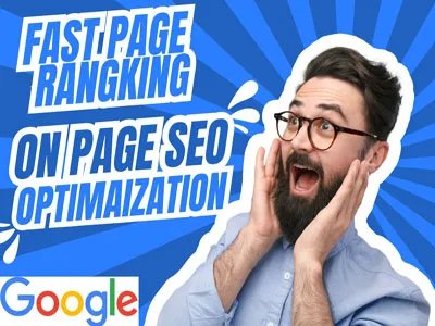I Will provide On Page SEO Optimization WordPress site