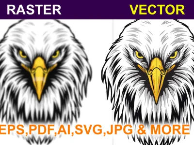 convert low image to vector tracing high quality