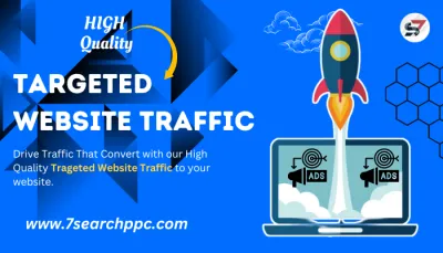 send you 200-300 web traffic per day from the USA. 10 Days
