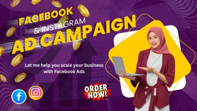 setup and manage meta ads campaign