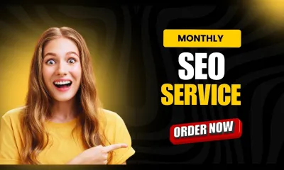 I will provide monthly SEO services for google top, onpage and technical optimization