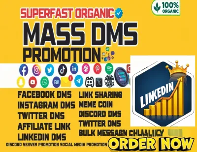 sent instagram dms to targeted audiences and direct message marketing promotion