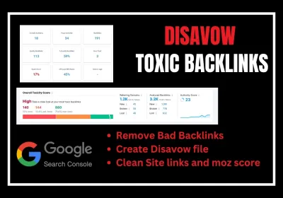 disavow spammy toxic bad backlinks for ranking and google penalty
