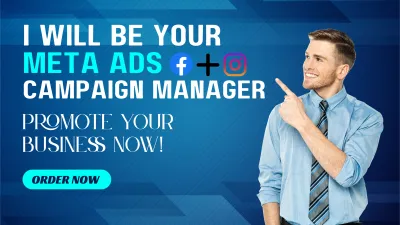 create and manage facebook ads campaign, facebook advertising