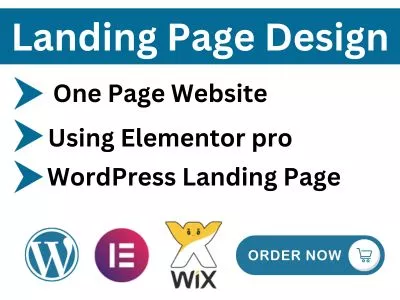 I will make a  Responsive WordPress landing page design or squeeze page