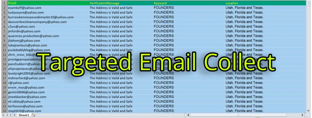 I will collect niche targeted email list and bulk email list for email marketing