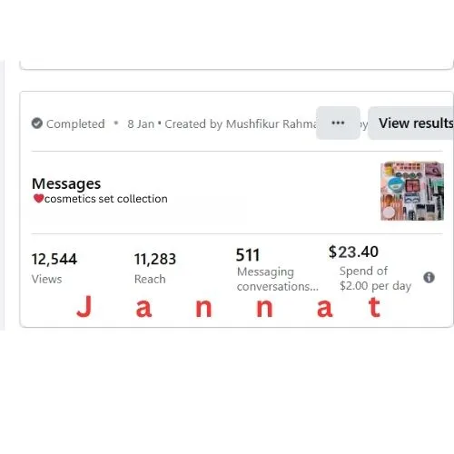 professionally run Facebook Boost Campaigns & Sales Ads