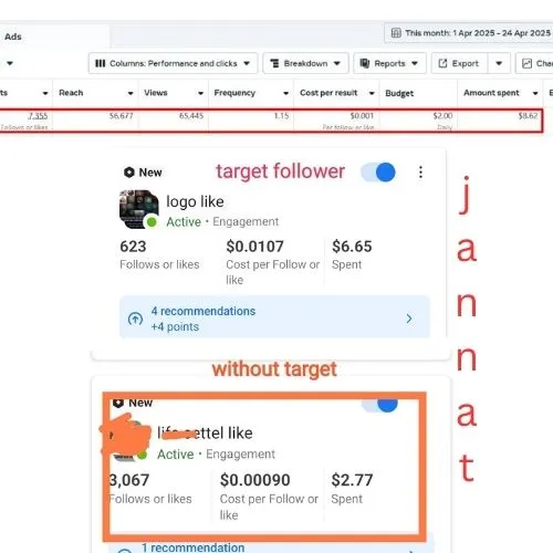 professionally run Facebook Boost Campaigns & Sales Ads