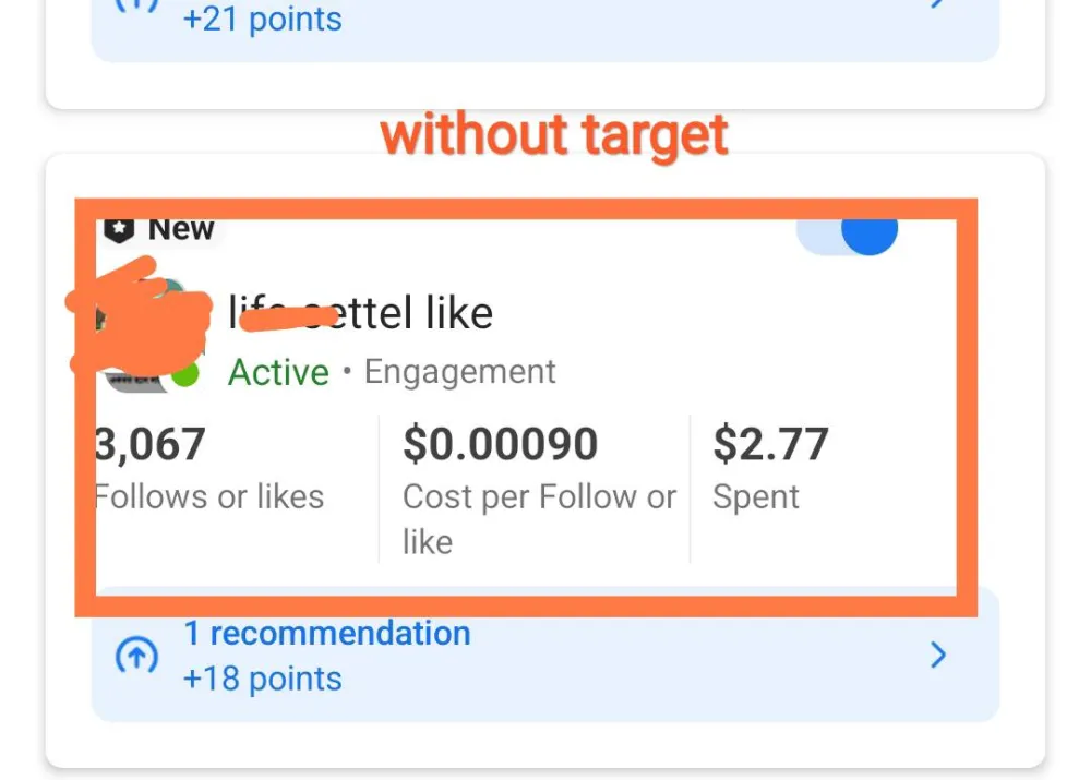 professionally run Facebook Boost Campaigns & Sales Ads