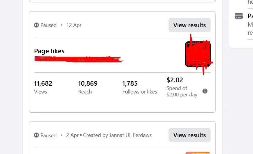 professionally run Facebook Boost Campaigns & Sales Ads